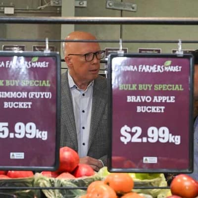 Dutton hopeful suburbs can deliver special victory