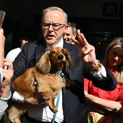 Pooches and pollsters point to popular prime minister