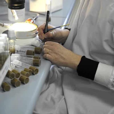 Wave of case issues expected in mass DNA retesting