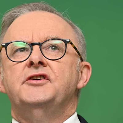 Albanese's $30b school cuts claim misleads
