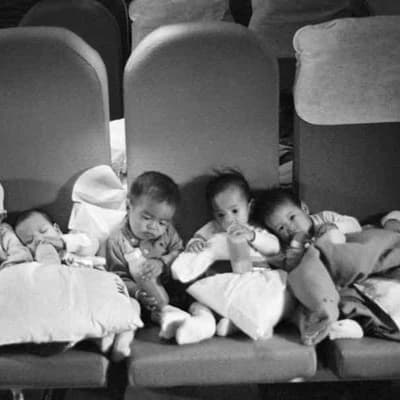 Poignant salute to tragic heroes of historic 'babylift'