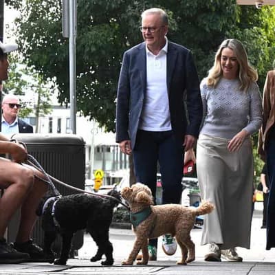 Albanese takes victory lap after Labor landslide