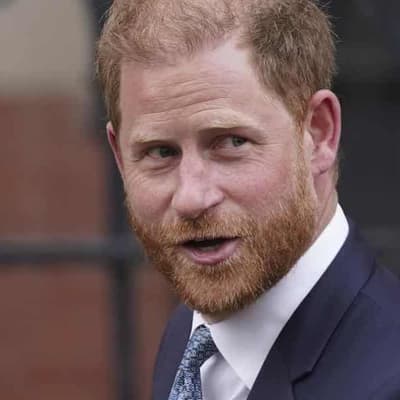 Harry 'stitch up' remark 'really offensive' to security
