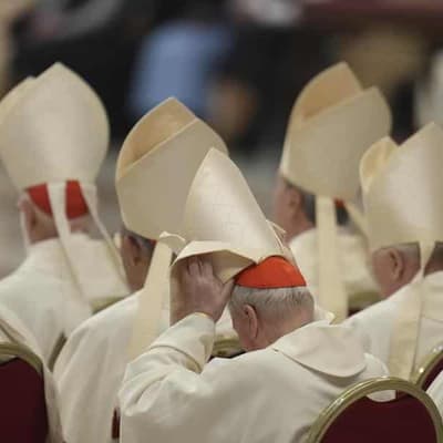 All cardinals have arrived in Rome for papal conclave