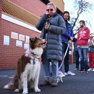 Claims of low voter turnout in federal election jump the gun