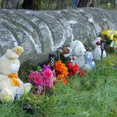 Rural town to honour slain boys who 'left us too soon'