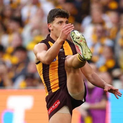 D'Ambrosio eyes NT gear change with Hawks set to fly