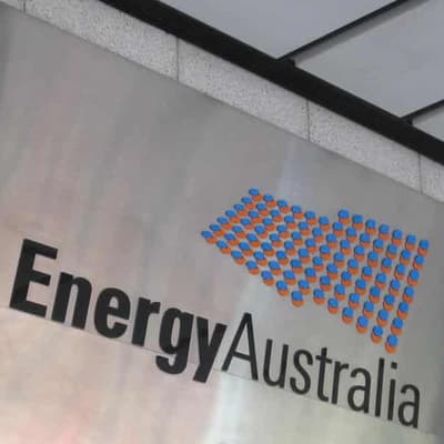 Carbon offsets set aside following greenwashing lawsuit
