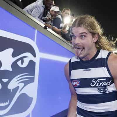 Dogs coach takes a catty nip ahead of Smith showdown