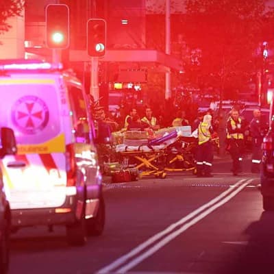 Mall stabbing response a 'near miss', inquest told