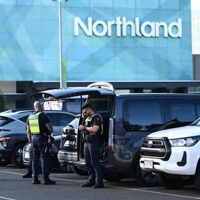 Knives out for machete sale ban after shopper terror