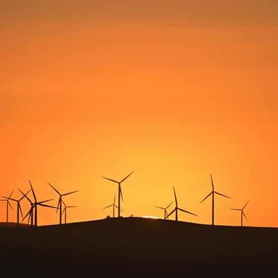 Winds of change: govt urged to seize energy mandate