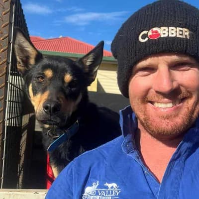 A ripper race to find Australia's hardest-working dog