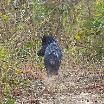 Farmers, greenies divided over 'dirty' bounty deal
