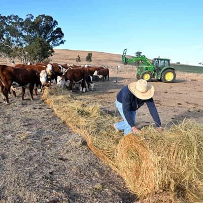 Tax reprieve for farmers as drought declared statewide