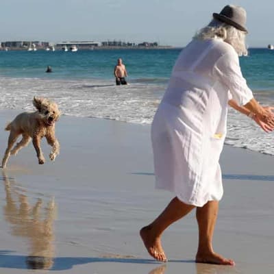 Opposition rules out deal on superannuation tax change