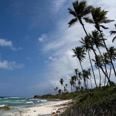 Australia, Pacific rocked by ocean heatwaves in 2024