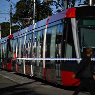Passenger dies after getting stuck between carriages