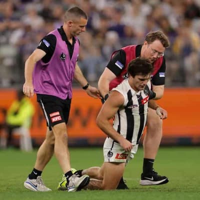 Cornes, Dillon apologise to umpires over Schultz saga