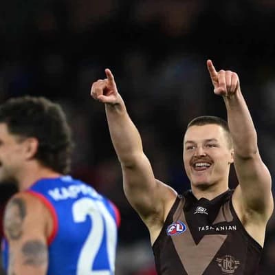 'Bro can't have fun' - Hawk unmoved after taunting Dogs