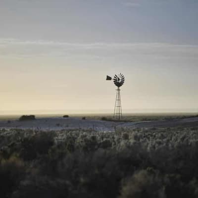 'Poor management': regulator in hot water over licences