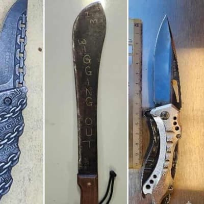 Landmark weapons search laws made permanent