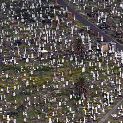 Underworld figure offers cemetery as bail collateral