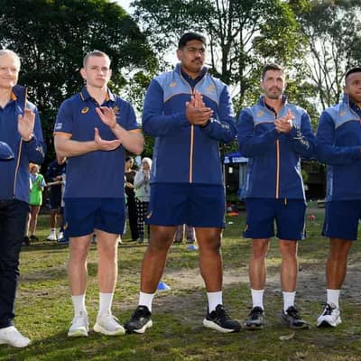 Wallabies giant rates Lions series as career pinnacle