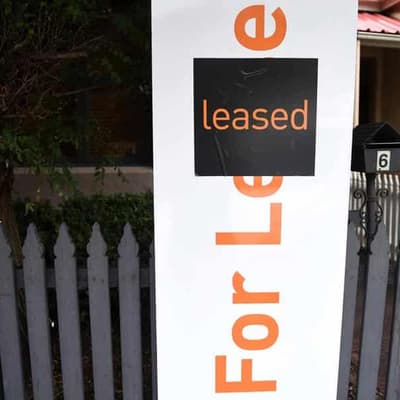 Renters fearful of speaking up about essential repairs