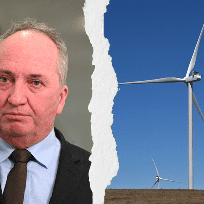 Experts pull plug on Barnaby Joyce's renewables scheme claim