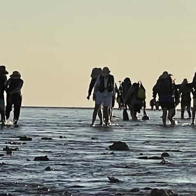 Stranded cruise passengers rescued from remote island