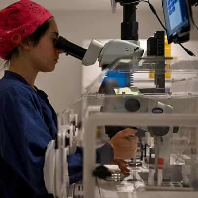 Patients seek reassurances after IVF mix ups