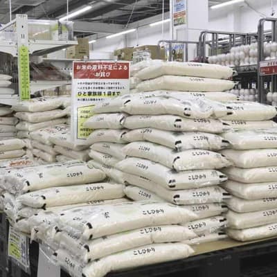 Rice not on the table in Japan's trade talks with US