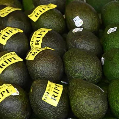Avo production smashed, but still 20 for every Aussie