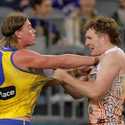 All fair in Harley Reid-Tom Green war: Kingsley