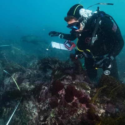 'Toxic to anything with gills': algal bloom spreading