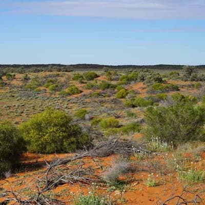 Desert haven teeming with life a snapshot of the past
