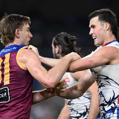 No more tomorrows for desperate Dogs