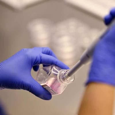 IVF hack inquiry confirms details published on dark web