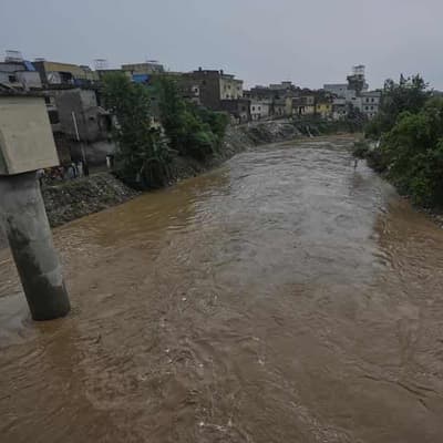Pakistan monsoon rains death toll reaches 216
