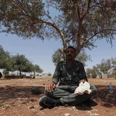 Bedouin civilians leave Sweida as Syria truce holds