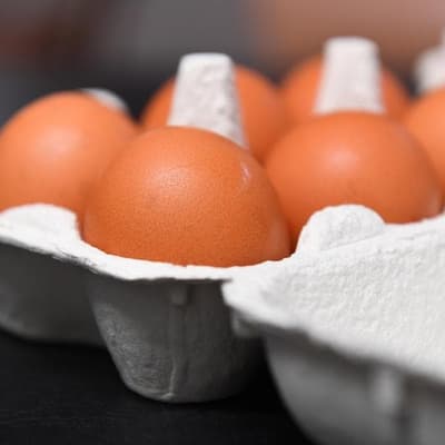 Egg yolk COVID claim not all it's cracked up to be