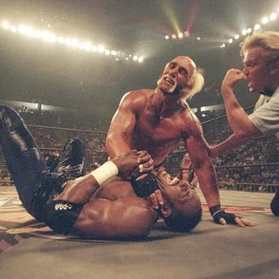 Hulk Hogan, icon of professional wrestling dies aged 71