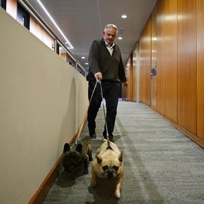 Scandals dog attempts to 'get it right' on workers comp