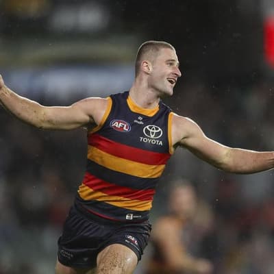 That's not our job: Crows coach keeps lid on