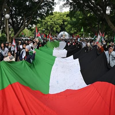 Point of starvation spurs statehood push for Palestine