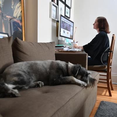 Business slams plan to enshrine right to work from home