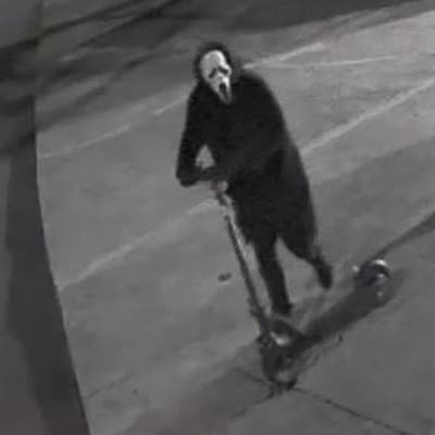 Vandal wanted over 'abhorrent' synagogue graffiti