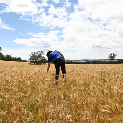 Farmers get on front foot in evolving war against weeds