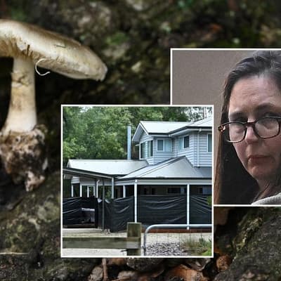 Killer mushroom cook Patterson fails with secrecy bid